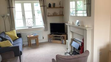 TV, DVD player, books