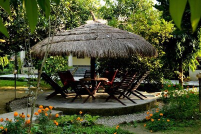 Traveller Jungle Camp