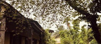 Traveller Jungle Camp