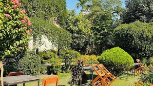 Un jardín con mesa y sillas, rodeado de diversas plantas y flores.