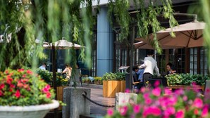 An outdoor seating area with tables and chairs, surrounded by potted plants and flowers. - Jasmine International Hotel (Changsha)