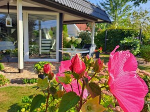 Property grounds - App. Gutmann - ID 45476 - APP. Gutmann (Ribnitz-Damgarten)