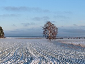 Unclassified image, 5 of 32, button