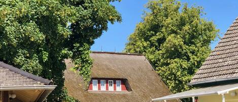 A traditional house with a thatched roof, white walls, and a small window.