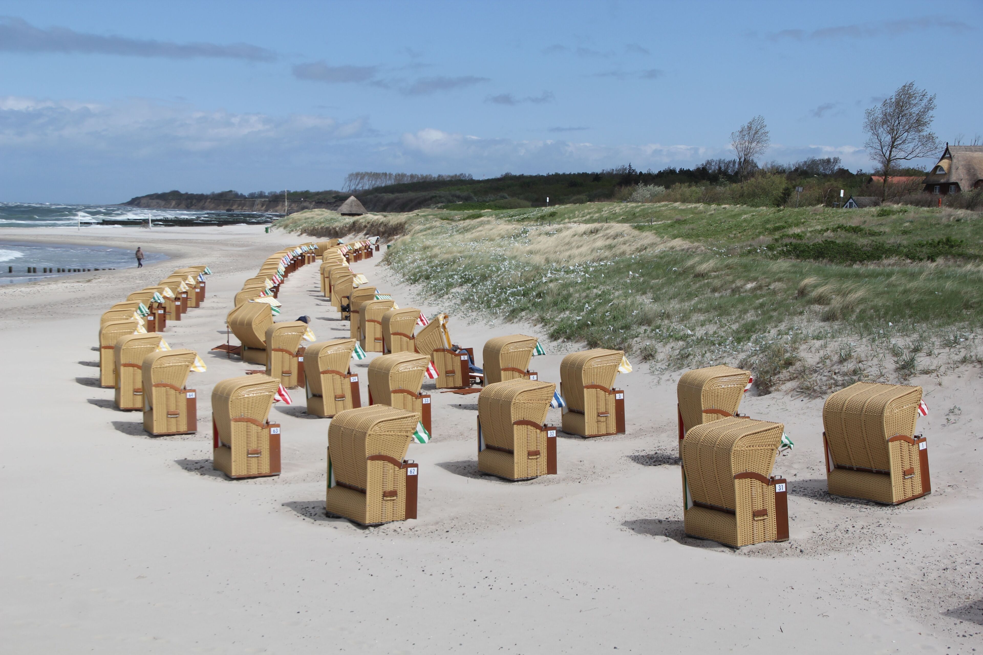 Een strand met rijen rieten strandstoelen in de zand.