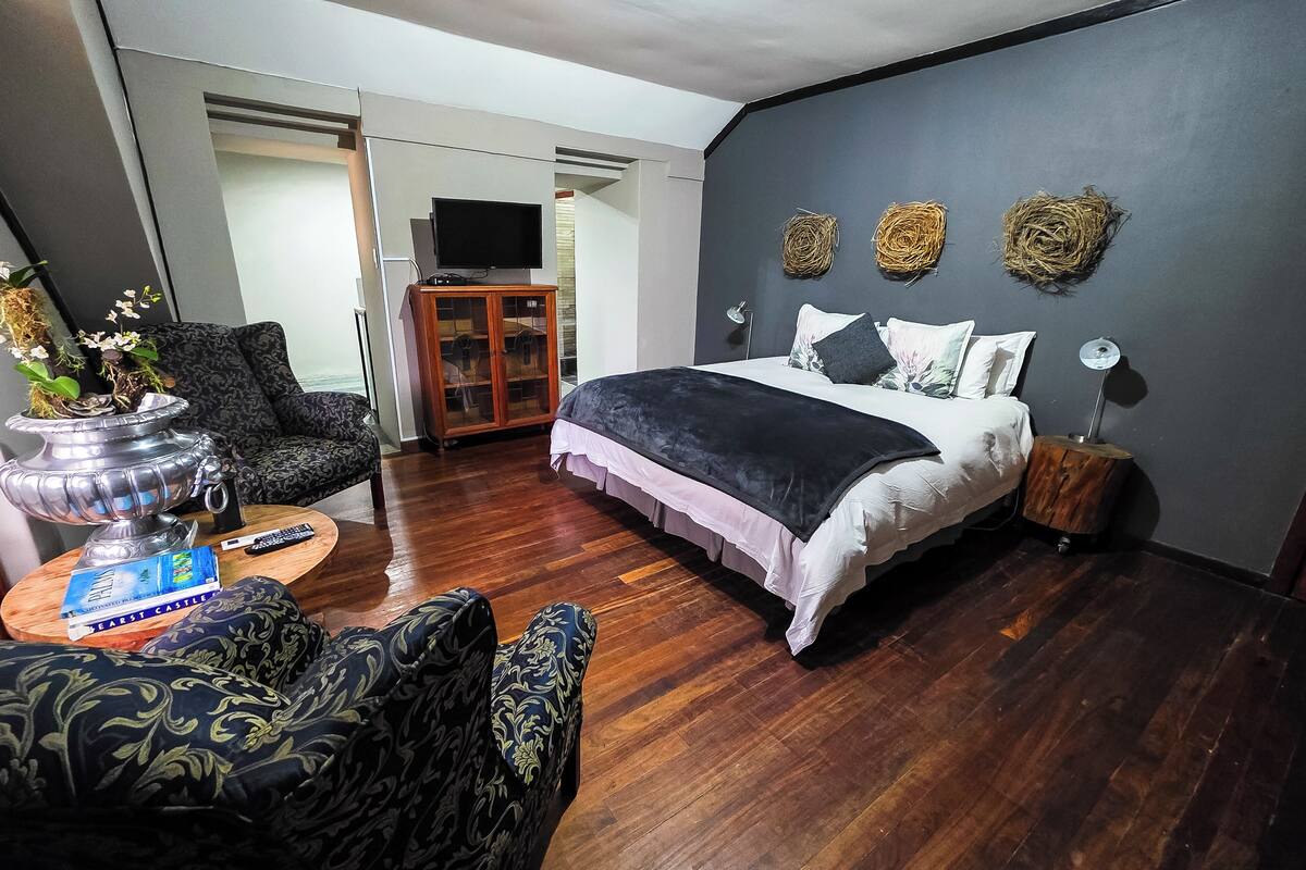 Un dormitorio con cama, televisor, mueble y planta.