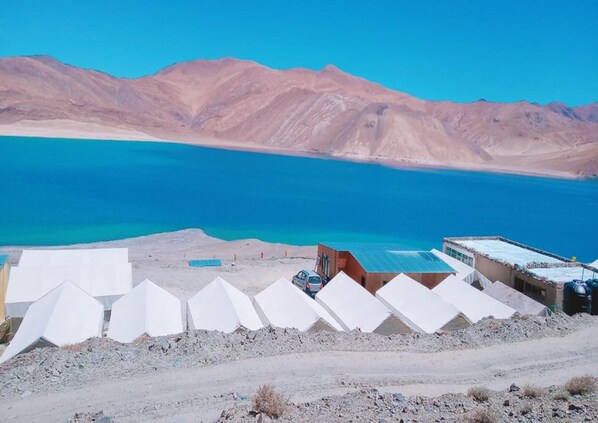 Property grounds - Eco Travellers Camp (Leh)