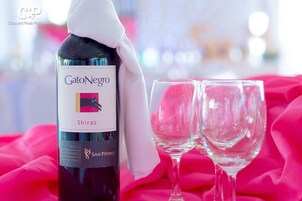 A bottle of Gato Negro Shiraz wine with two empty glasses on a pink fabric background.
