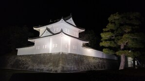 A traditional Japanese castle with multiple white levels and a stone base, illuminated at night. - Hana Botan (Kyoto)