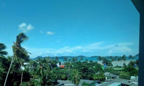 Vista desde la habitación
