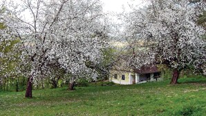 Una casa circondata da alberi in fiore in un prato.