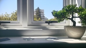Private Room | View from room