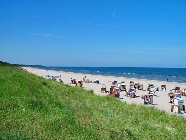 Nära stranden