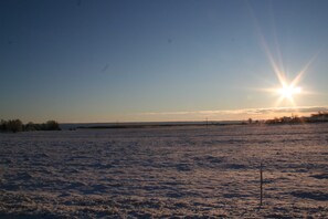 Unclassified image, 3 of 22, button