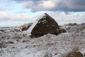 Unclassified image, 5 of 22, button