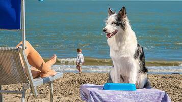 Playa en los alrededores