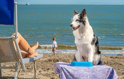 3 bedroom awesome home in Albarella RO