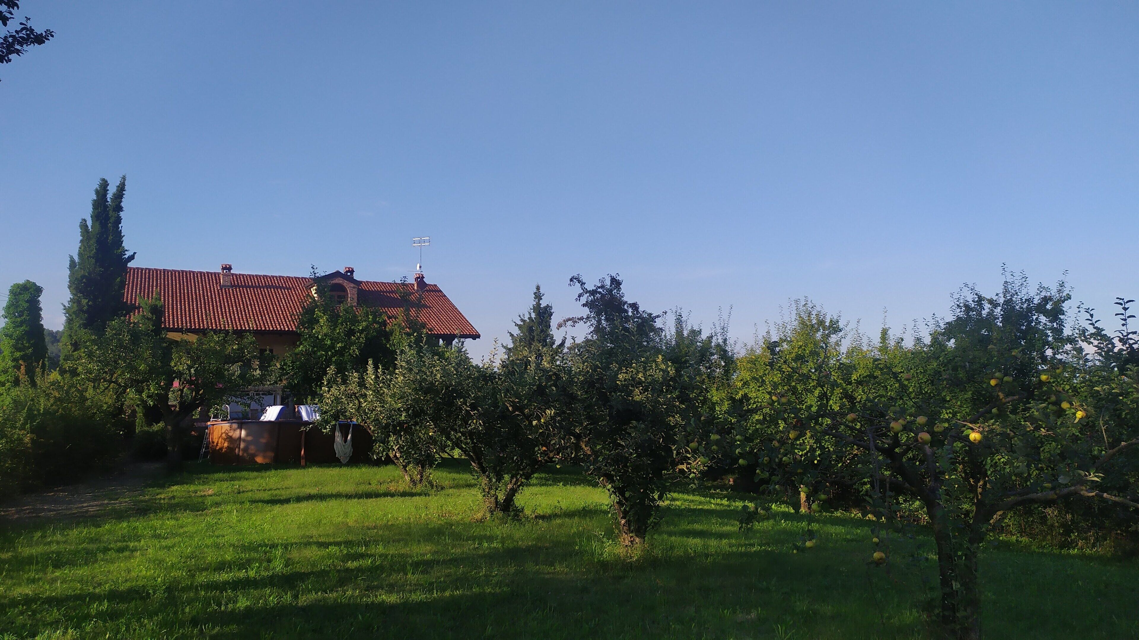 A house with a red-tiled roof, surrounded by a grassy field and fruit trees.