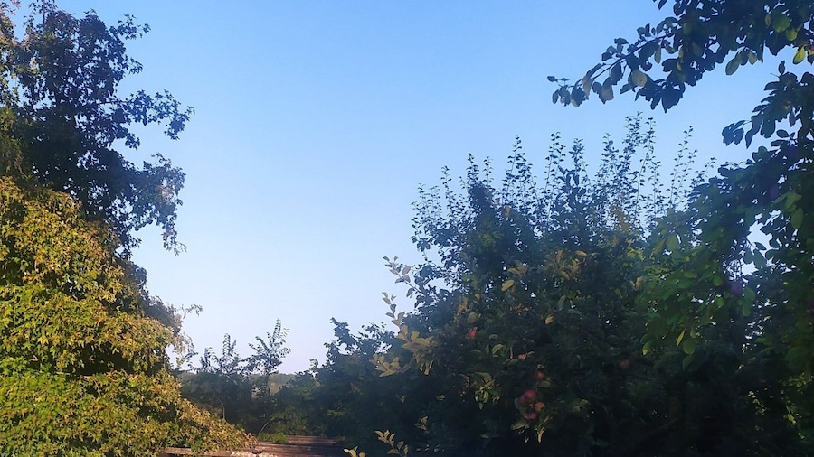 B&B Naturin - Cascina Colombaro