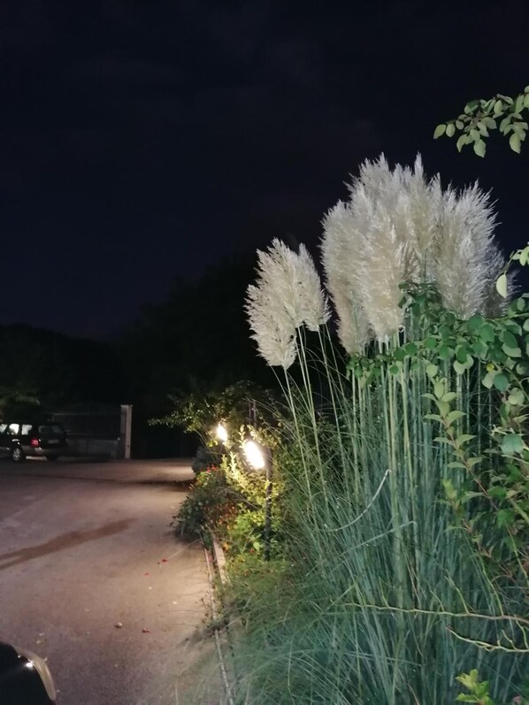 Property grounds - Le stanze di bacco (Cagnano Amiterno)