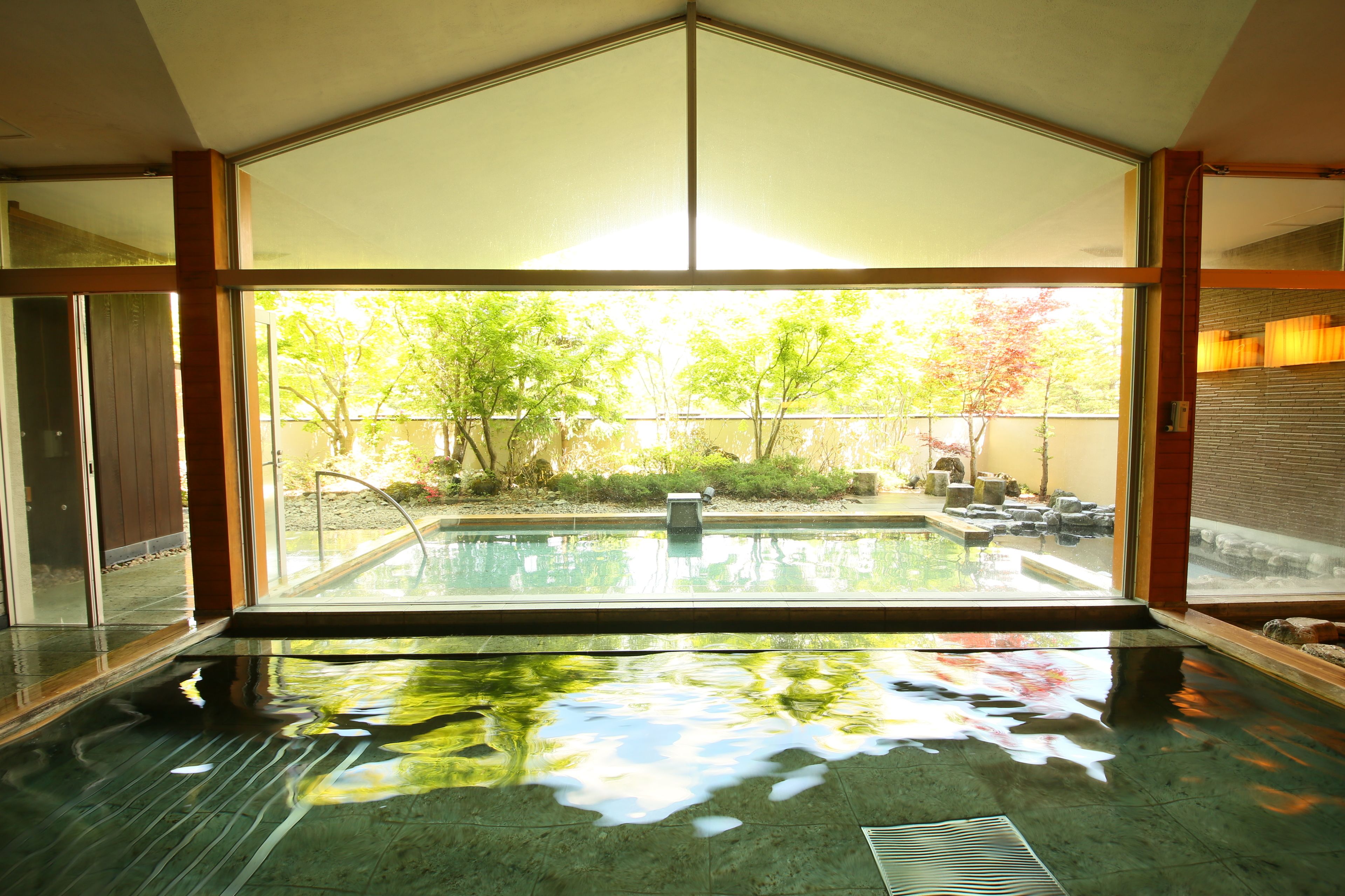 Indoor pool, a natural pool