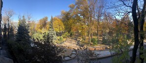A park with pathways, trees, and a small water feature.