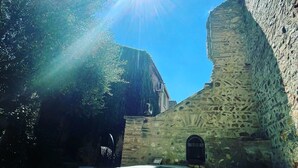 A swimming pool with clear water, surrounded by stone walls and a tree. - La Vieille Demeure (Torreilles)