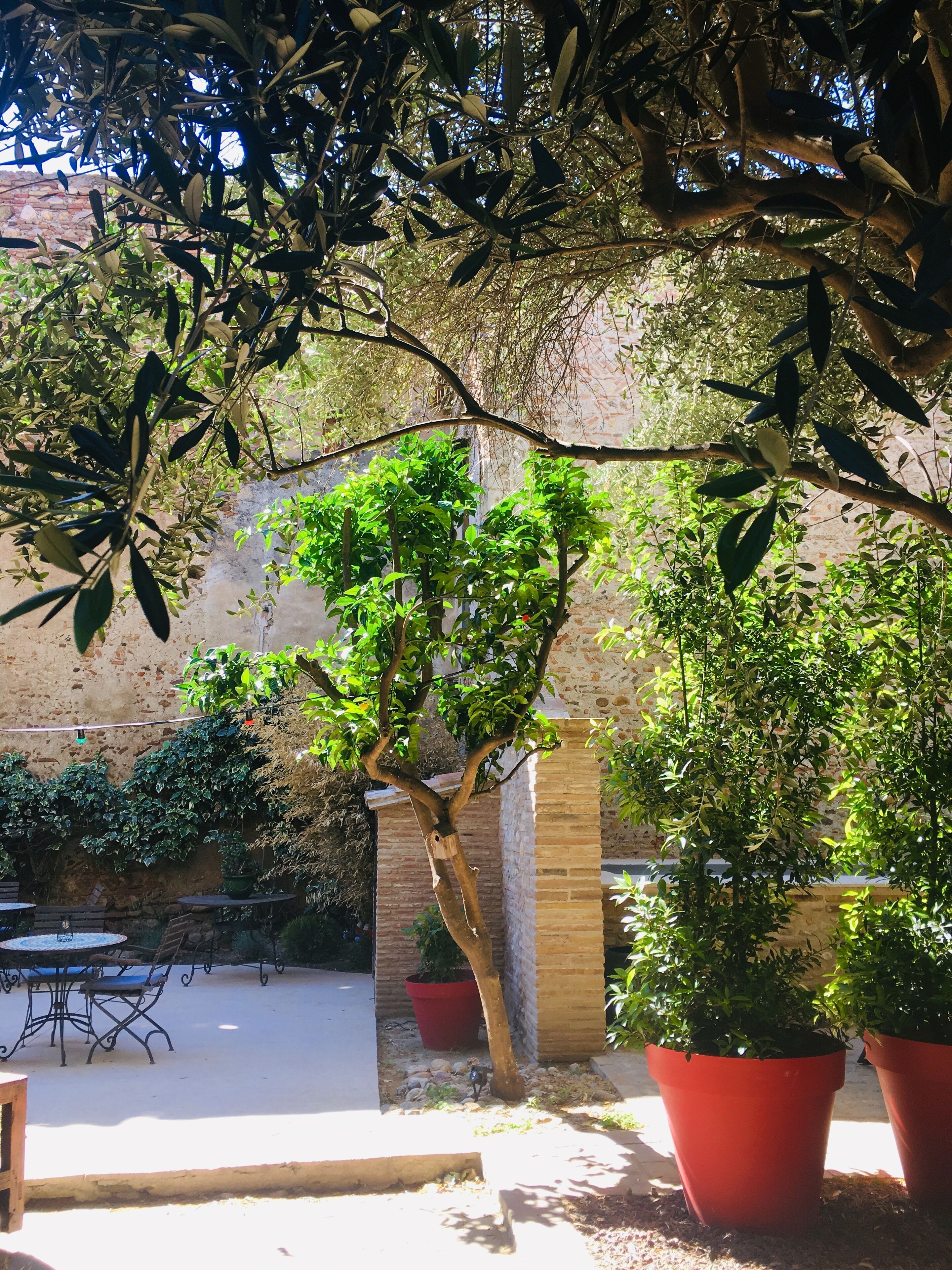 An outdoor patio area with tables and chairs, surrounded by potted plants and trees.