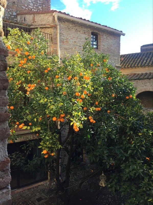 A stone building with a tree bearing fruit, possibly oranges, in front of it.