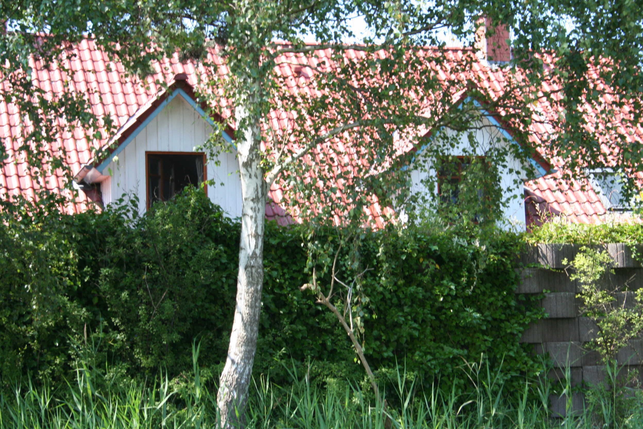 A rustic building with a red-tiled roof, surrounded by lush greenery.