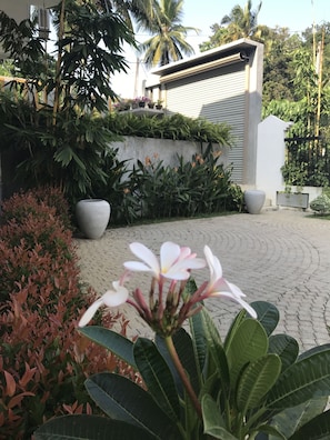 Property amenity - The Percha Villa and Banquet (Kekanadura)