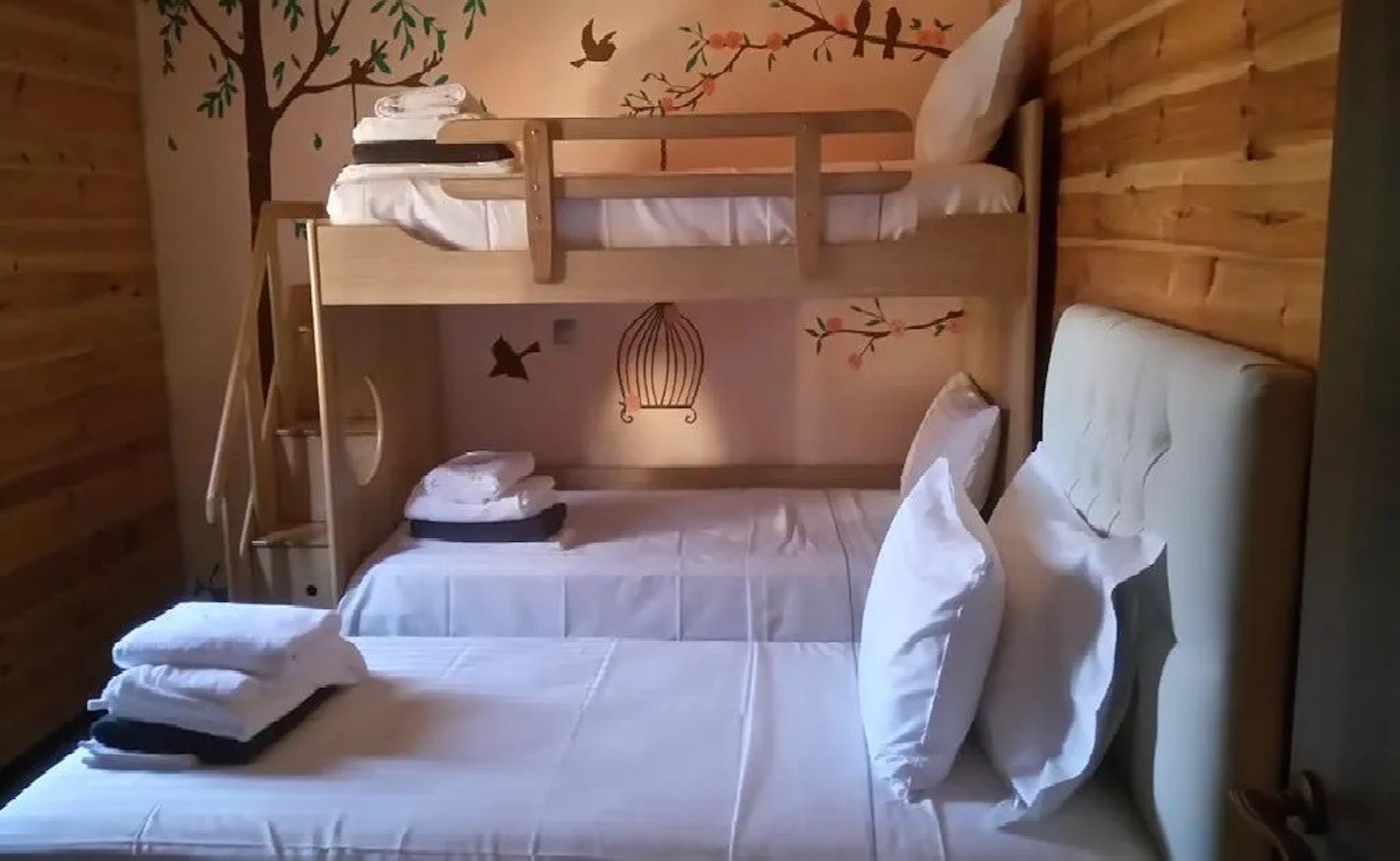 A bunk bed room with a wooden wall, a bird mural, and a ladder.