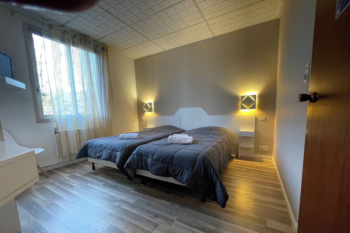 Standard Twin Room | Desk, free WiFi