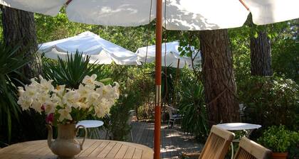 Villa bord de mer, dune du Pilat, pour 6 personnes, entiÚrement équipée.