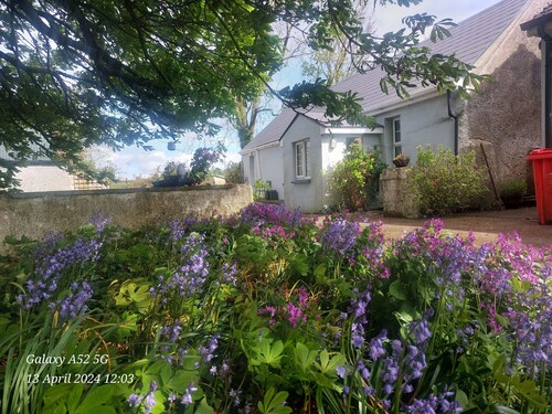 A beautiful house in the Center of Ireland