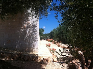 Parco della struttura