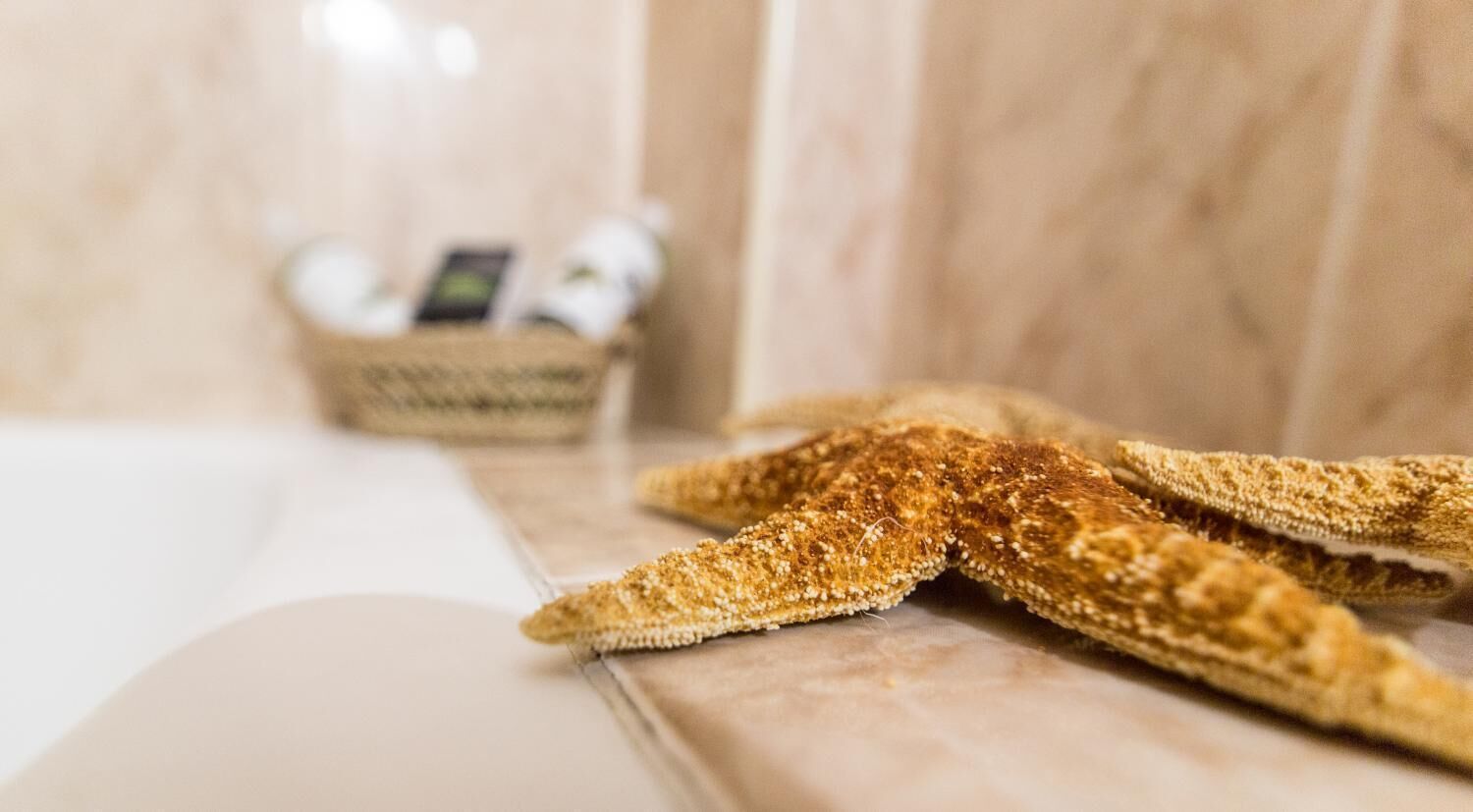 Una decoración de estrella de mar sobre una encimera de baño.