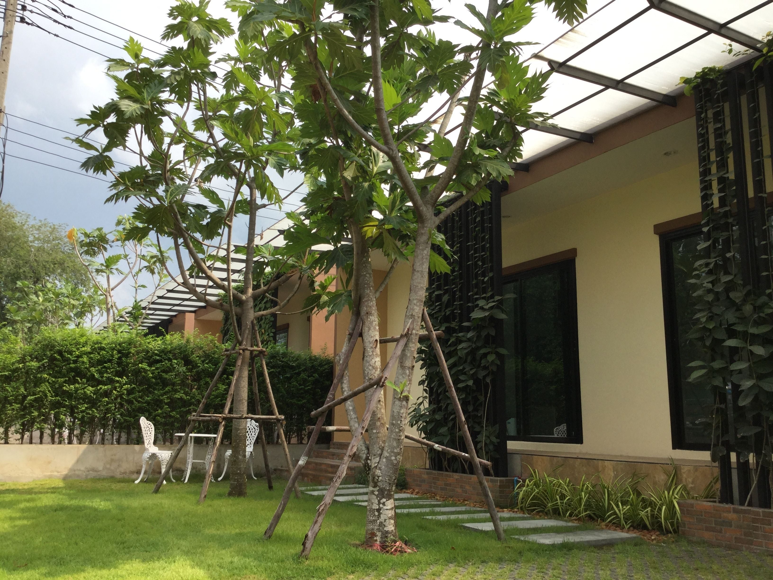 Foto - Fairtex Residence Pattaya