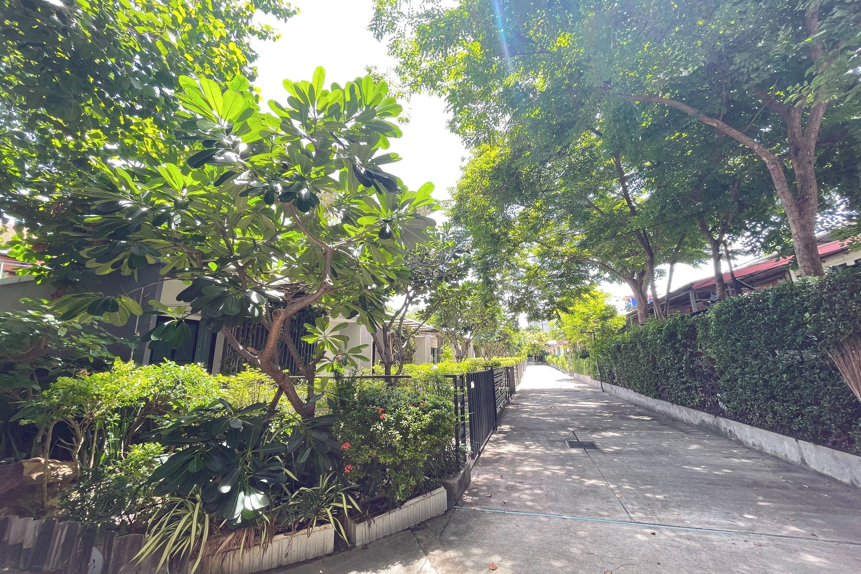 Foto - Fairtex Residence
