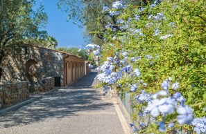 Property grounds - Blue Marine (Camerota)