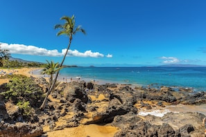 A beach with rocky terrain, palm trees, and clear blue water.