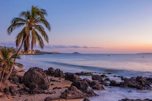 A beach with palm trees, rocky shoreline, and calm sea.