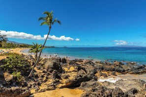 Una spiaggia con terreno roccioso, palme e acque cristalline.