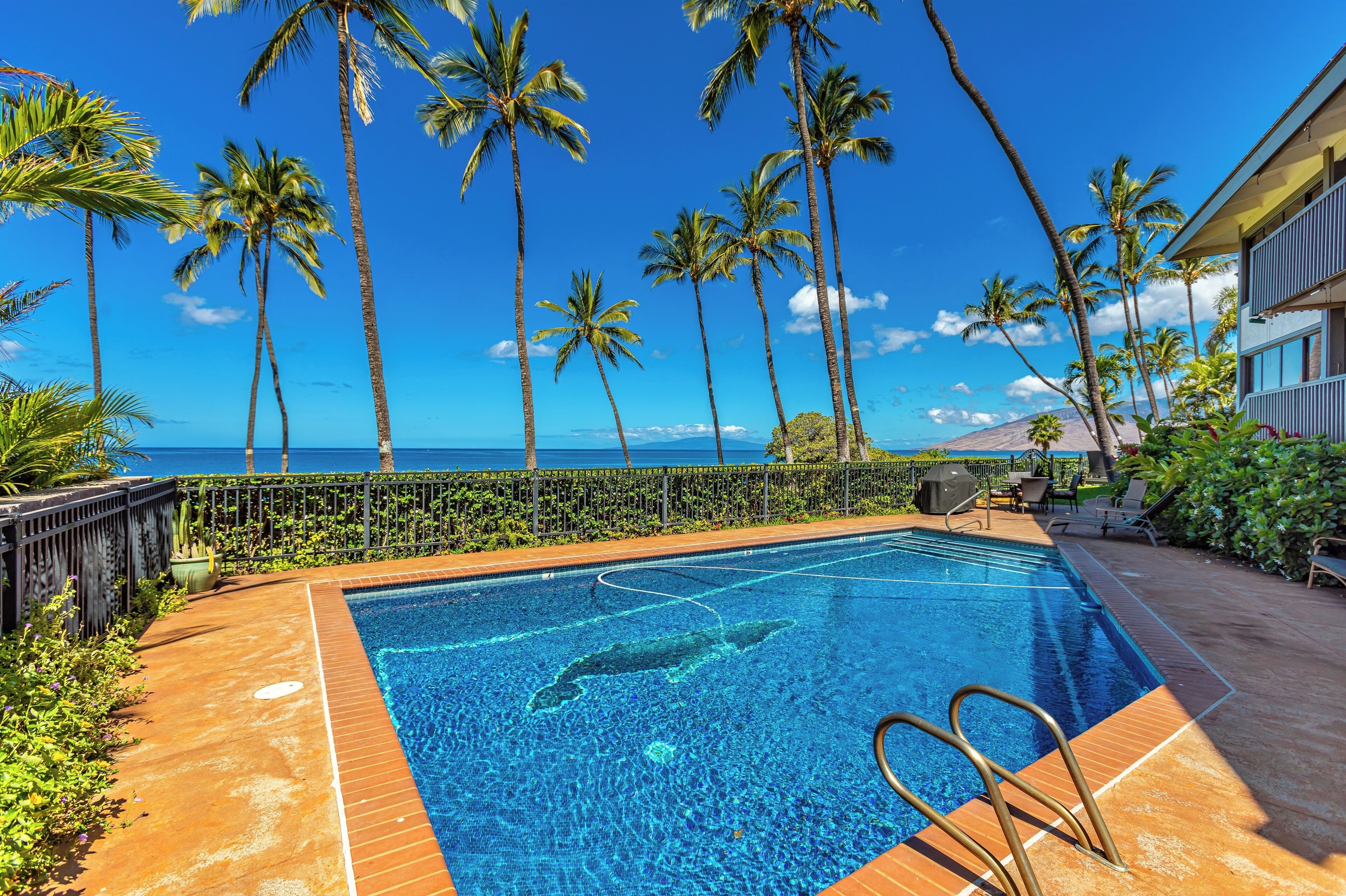 Ein Swimmingpool mit klarem, blauem Wasser, umgeben von Palmen und Blick auf den Ozean.
