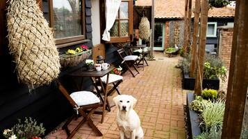 Hypo-allergenic bedding, individually decorated, individually furnished