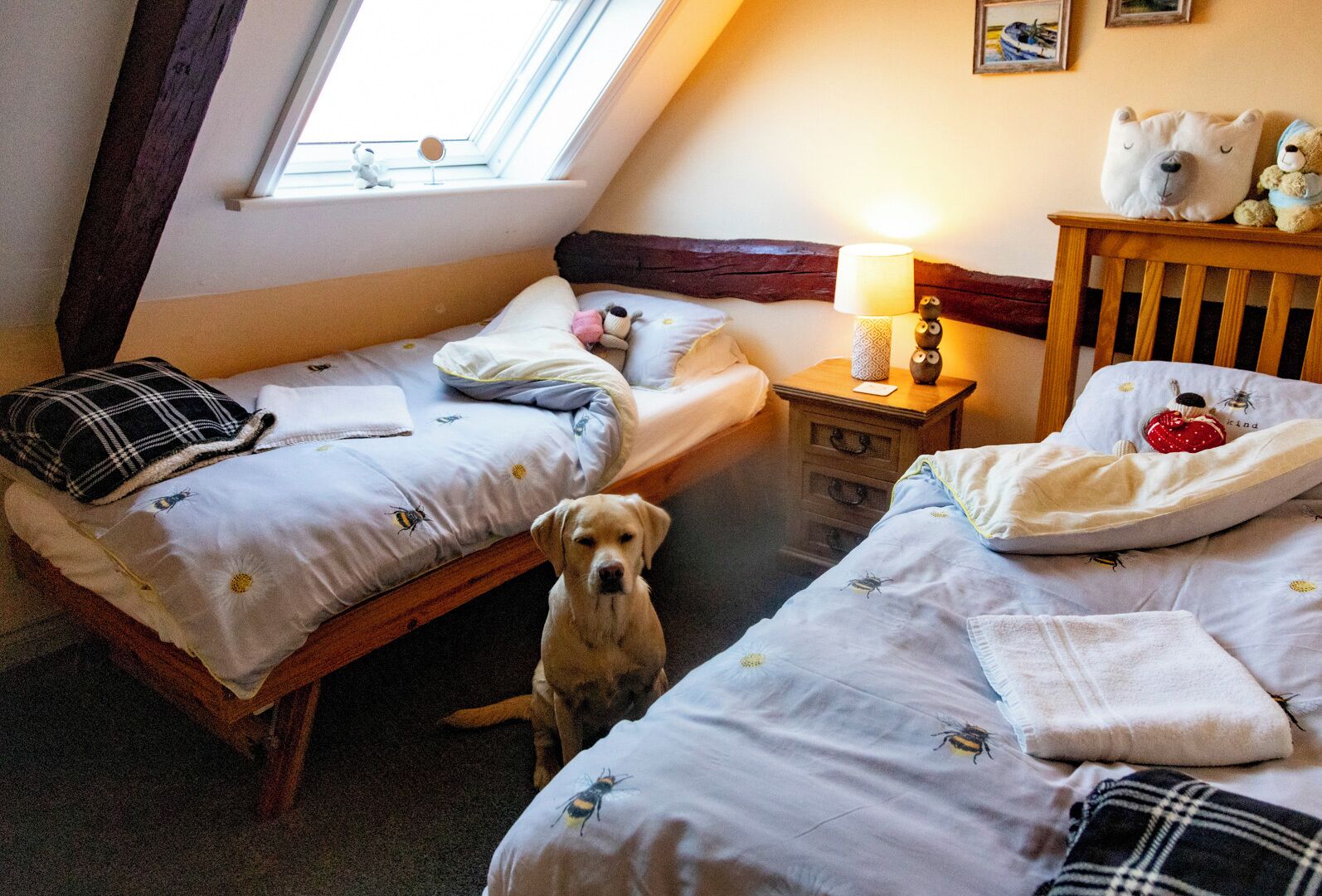 A cozy bedroom with two beds, a wooden headboard, a nightstand with a lamp, and a window with a view of the sky.