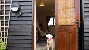 ๋ก๋งจํฑ ๋๋ธ๋ฃธ, ๋๋ธ์นจ๋ 1๊ฐ, ๋ง๋น | ์ ์๊ทน์ฑ ์นจ๊ตฌ, ๊ฐ๊ฐ ๋ค๋ฅธ ์คํ์ผ์ ์ธํ
๋ฆฌ์ด, ๊ฐ๊ฐ ๋ค๋ฅด๊ฒ ๊ฐ๊ตฌ ๋น์น, ๋ฐฉ์ ์ค๋น