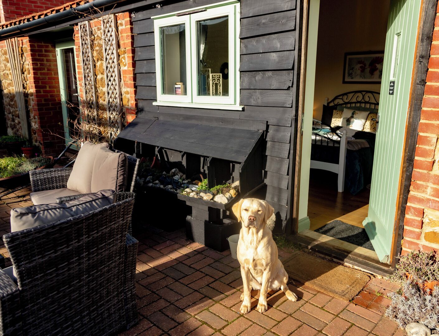 A patio with a wicker chair, a dog, and a barbecue area.