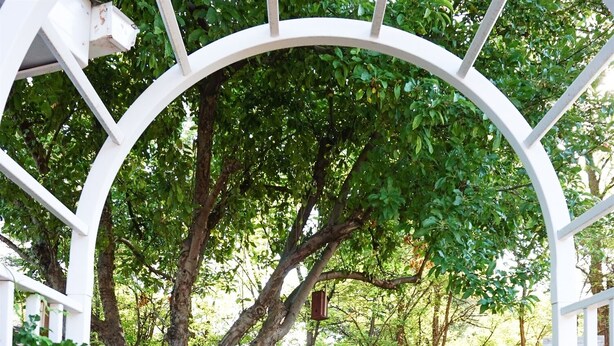 A garden with a white arbor, a hammock, and a wooden shed. - Close to National Parks.The Star Garage, Sleep in a Vintage Truck Bed, Cool! (Kanab)