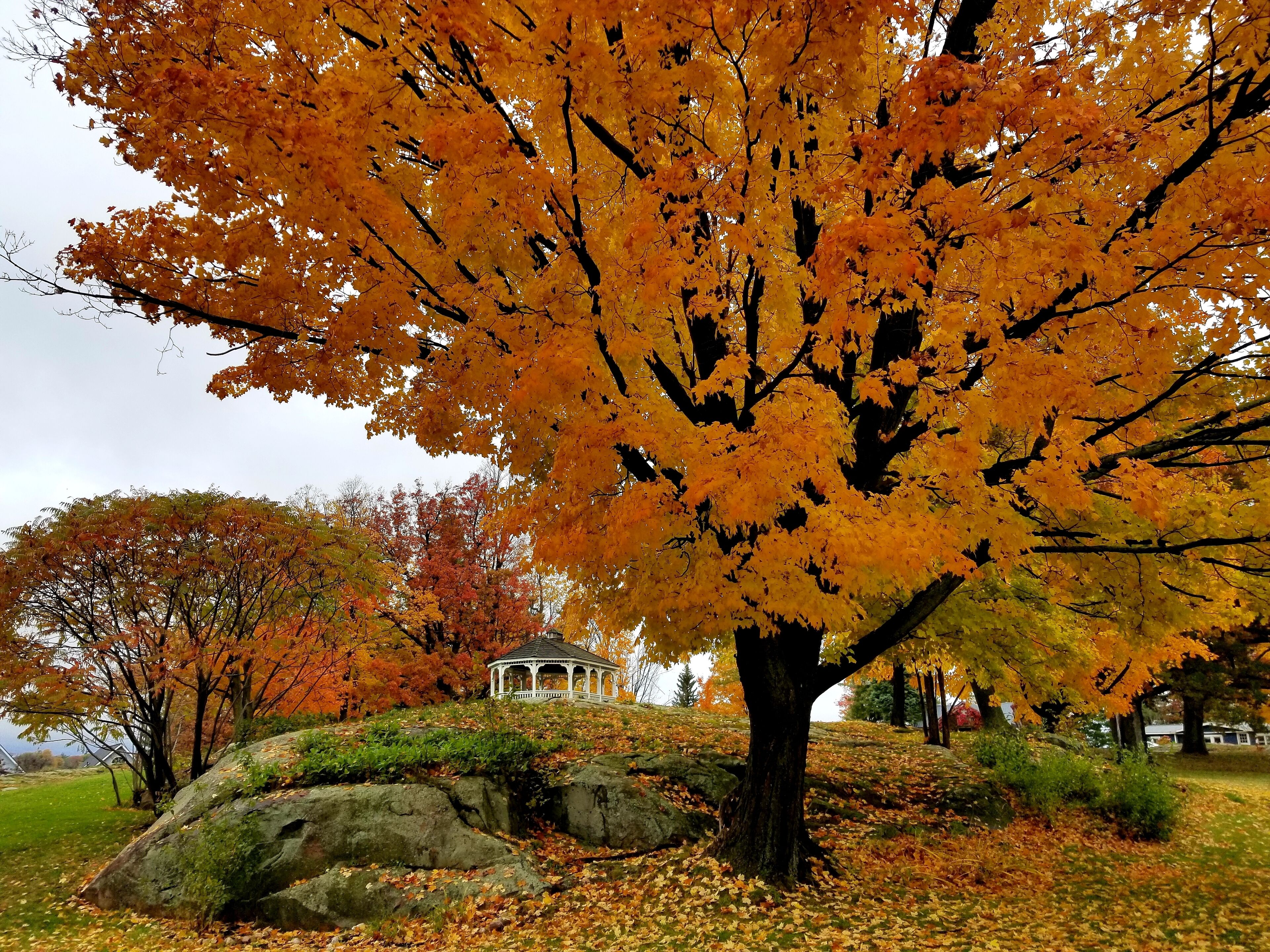 Fall Splendor